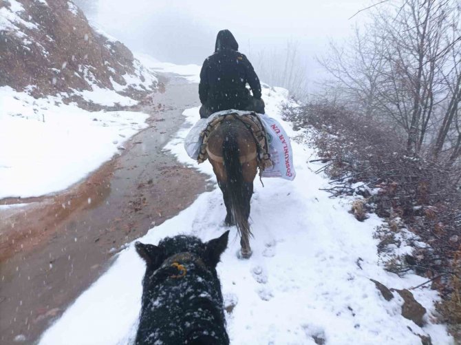 Depremzedelere Katır Sırtında Yardım Taşıyorlar
