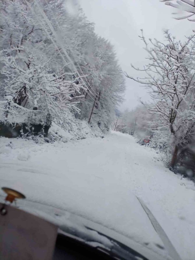 Etkisini Sürdüren Kar 17 Köy Yolunu Kapadı