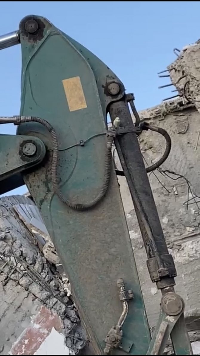 Kahramanmaraş’ta, Burdur Afad Gönüllülerinin Kuş Hassasiyeti