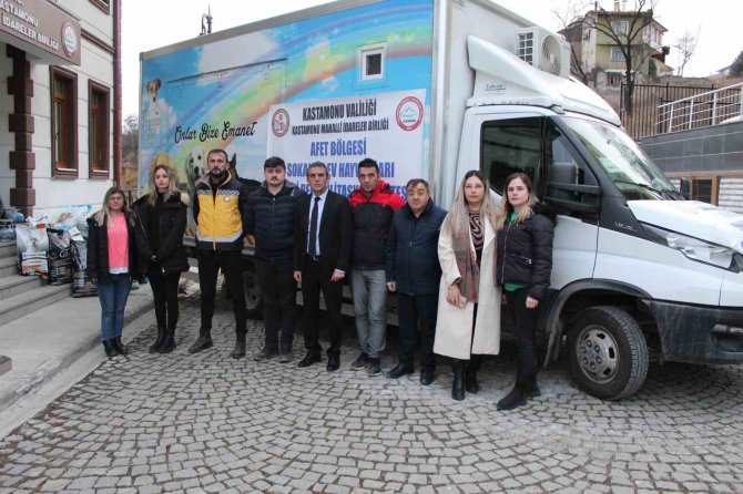 Depremden Etkilenen Sokak Hayvanları İçin Kasmi̇b Harekete Geçti