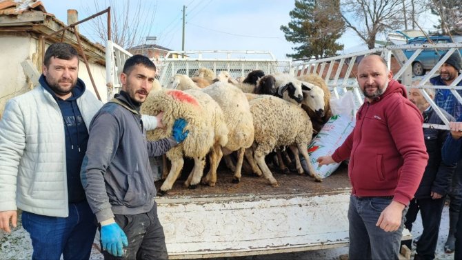Suluovalı Besicilerden Depremzedelere Destek İçin Hayvan Bağışı
