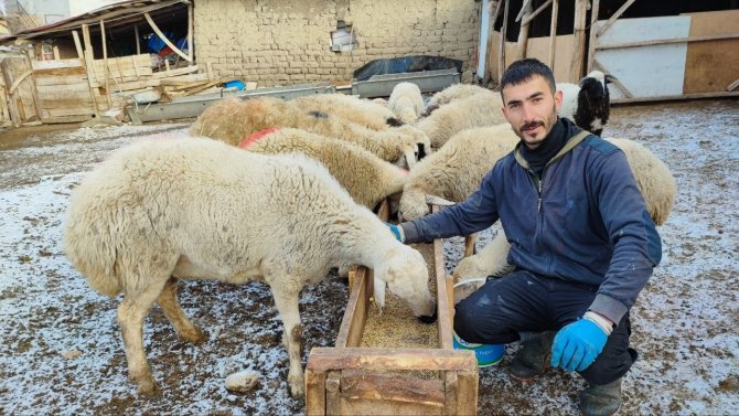 Suluovalı Besicilerden Depremzedelere Destek İçin Hayvan Bağışı