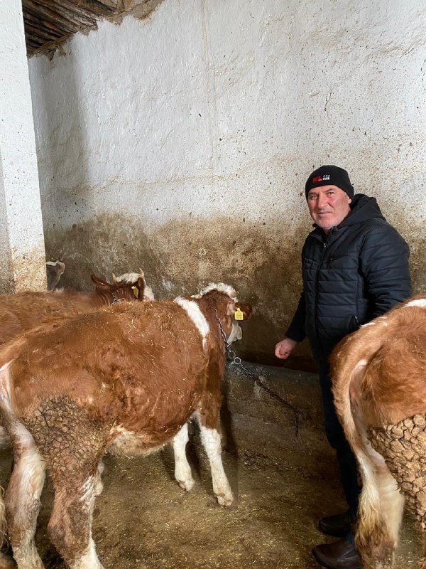 Bayburtlu Besiciler Ahırlarındaki Hayvanlarını Depremzedeler İçin Bağışlıyor