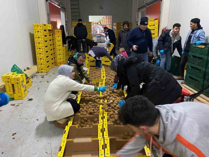 Bartın’dan Deprem Bölgesine 87 Ton Kivi Gönderildi