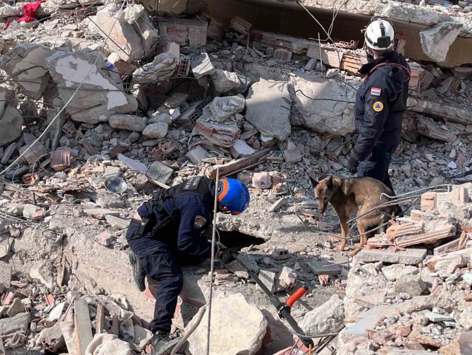 Hatay’da Eğitimli Köpekler Toprak Altında ‘Can’ Aradı
