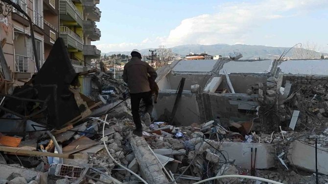 Arama Kurtarma Köpeği Tetik Tek Başına Samandağ’da 15 Can Kurtardı