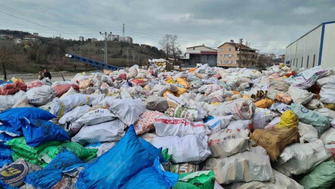 Deprem Bölgesine Alaplı’dan 15 Tır Yakacak Yardımı