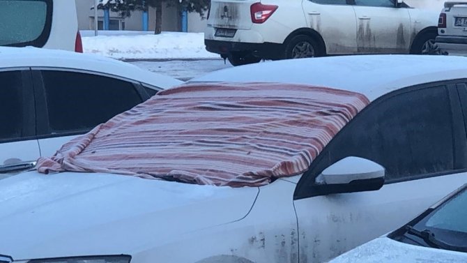 Erzurum Dondurucu Soğuklara Teslim