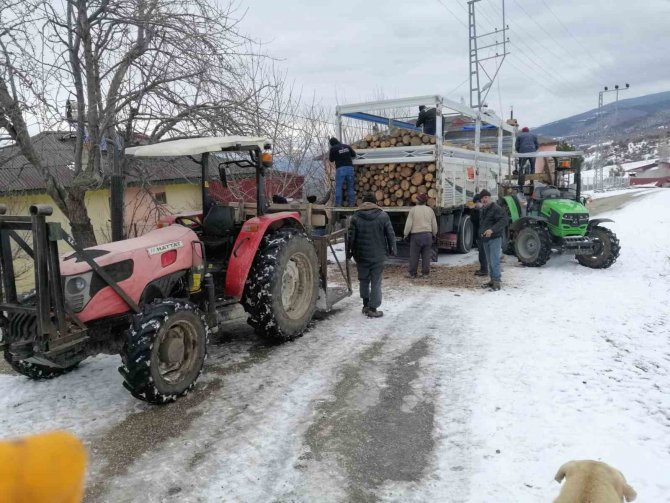 Tosya’dan Deprem Bölgesine 15 Tır Yakacak Yardımı