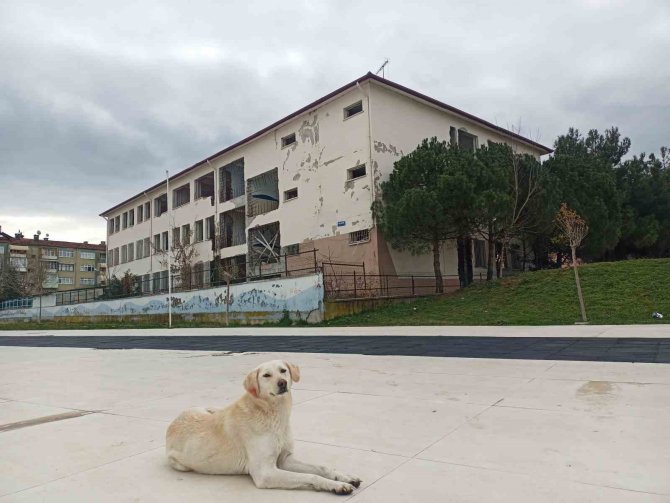 Samsun’da Okul Binaları Güçlendiriliyor