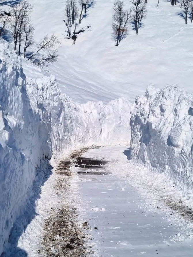 Bitlis’te Karla Mücadele Çalışmaları