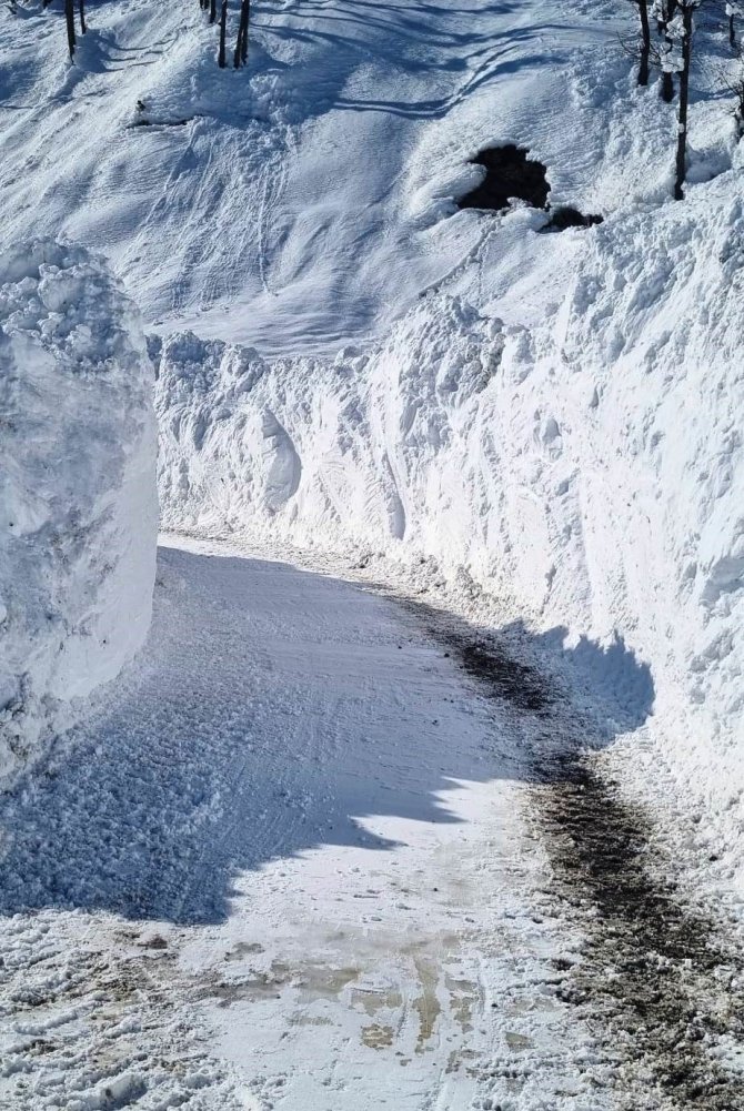 Bitlis’te Karla Mücadele Çalışmaları