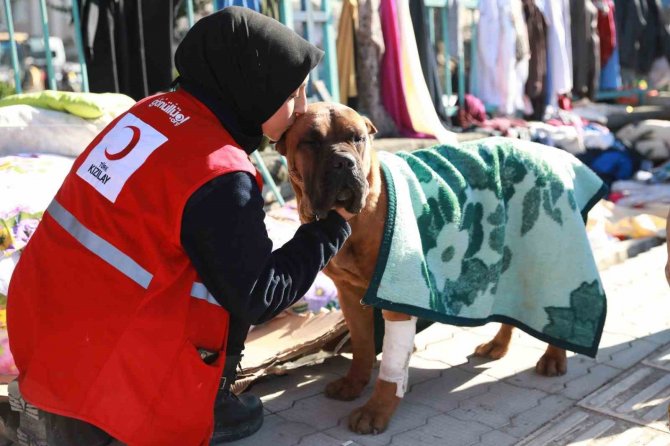 Kızılay’ın Psikososyal Destek Ekipleri Bölgede Psikolojik İlk Yardım Veriyor