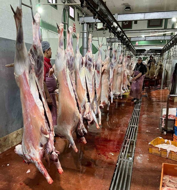 Hayırseverlerin Bağışladığı Hayvanlar Kesilerek Kızılay’a Teslim Edildi