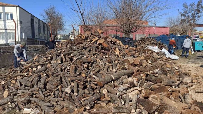 Siirt’ten Deprem Bölgesine İlk Etapta 35 Ton Odun Gönderilmeye Başlandı