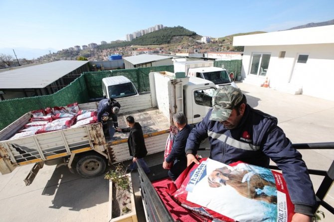Bayraklı Belediyesi’nden Deprem Mağduru Can Dostlara Mama Desteği