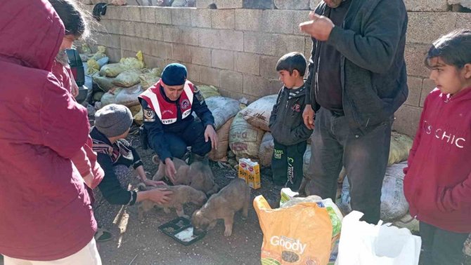 Bingöl’de Jandarma Ekiplerinin Topladığı Yardımlar, Depremzedelere Gönderildi