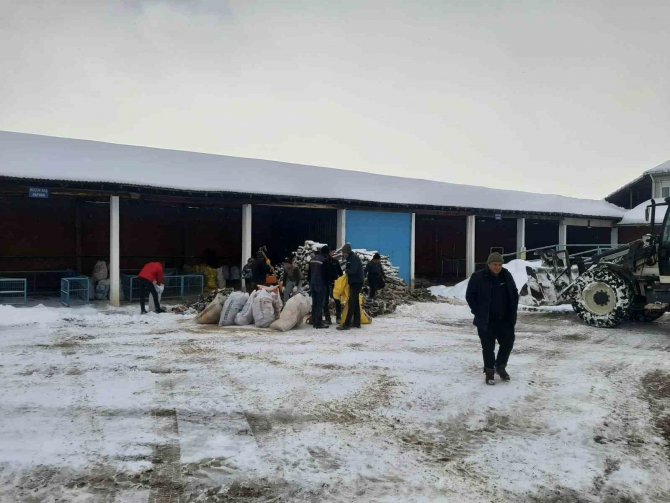 Deprem Bölgesine Yakacak Odun Yardımı