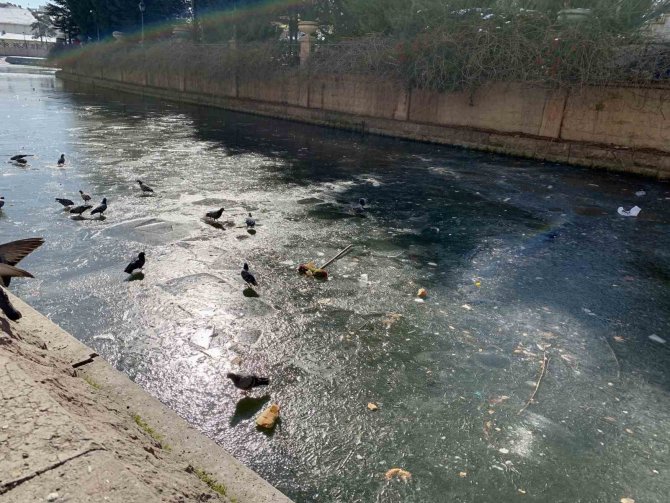 Yer Yer Donan Porsuk Çayı Çöplüğe Döndü