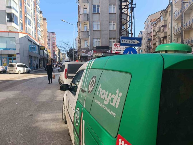 Evde Unutulan Kediyi Haydi̇ Unutmadı