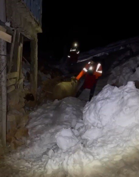 Enkaz Altından 15 Küçükbaş Hayvan Kurtarıldı