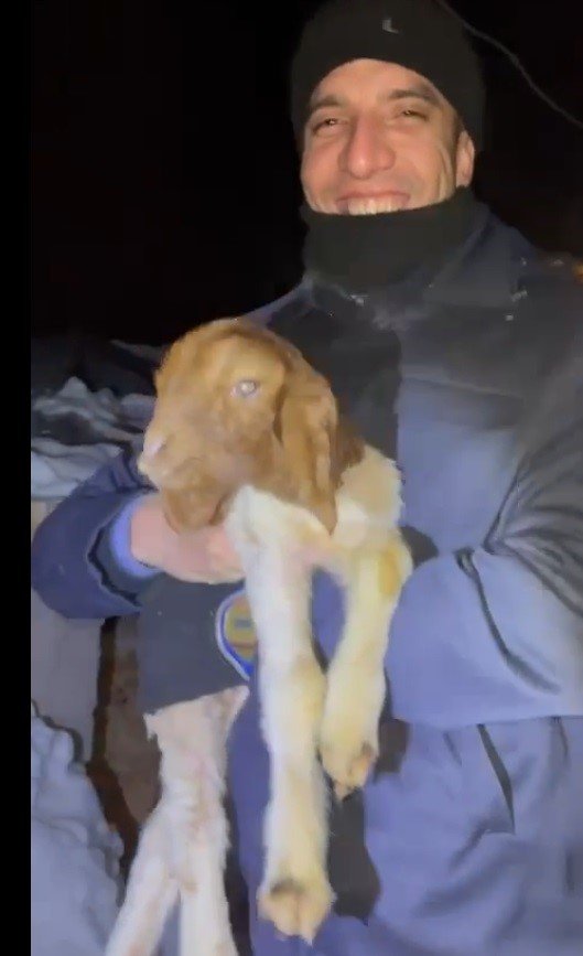 Enkaz Altından 15 Küçükbaş Hayvan Kurtarıldı