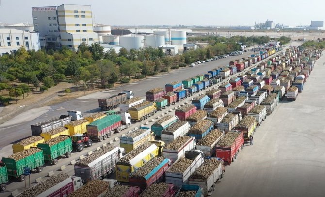 Konya Şeker Pancar Bedellerini Ödemeye Başlıyor