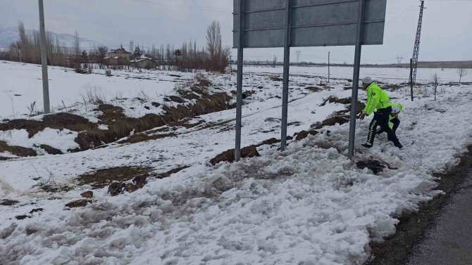 Yol Kenarındaki Yavru Köpeklere Polis Şefkati