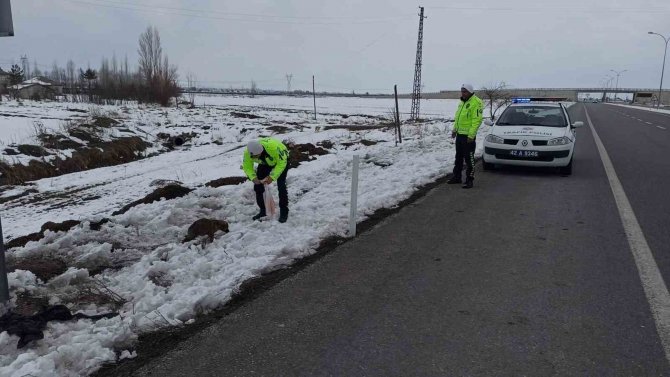 Yol Kenarındaki Yavru Köpeklere Polis Şefkati