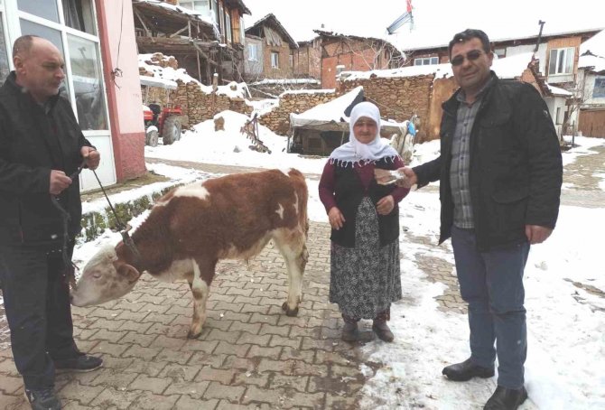 Kütahya Simavlı Gülper Teyze, Sattığı Tosunun Parasını Depremzedelere Bağışladı