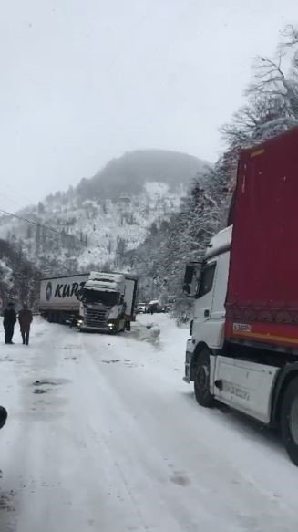 Artvin’de Kar Yağışı Karayolunda Ulaşımın Aksamasına Neden Oldu