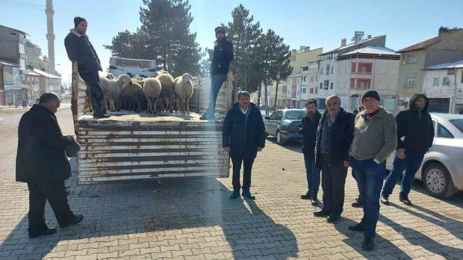 Depremzedeler İçin 120 Hayvan Kestirdiler