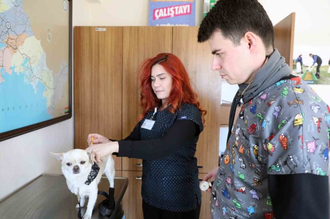 Deprem Bölgesinden Getirilen Köpek Sağlığına Kavuşturuldu