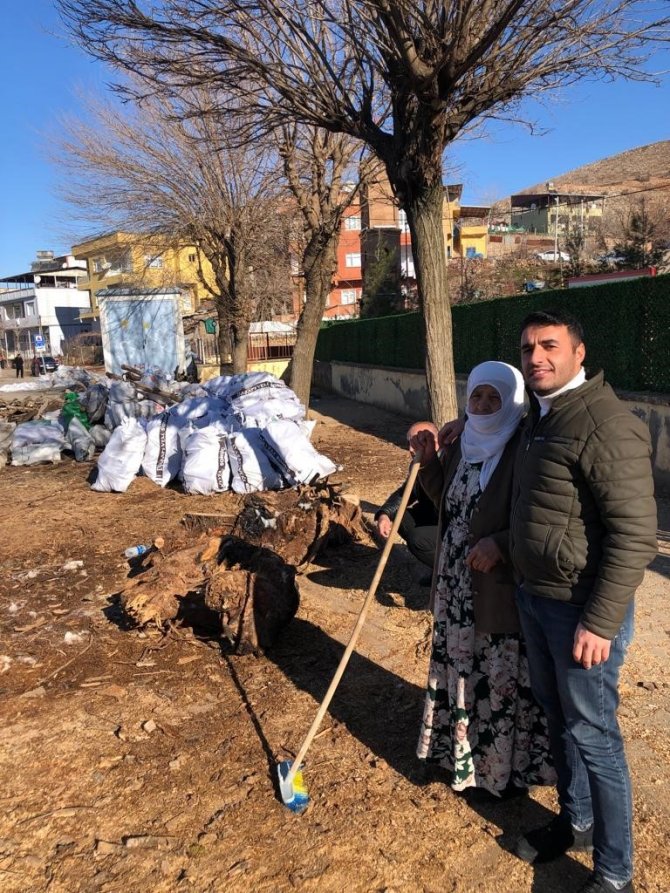 Siirt’te Depremzedeler İçin Odun İstifleyen 68 Yaşındaki Kamile Nine Duygulandırdı