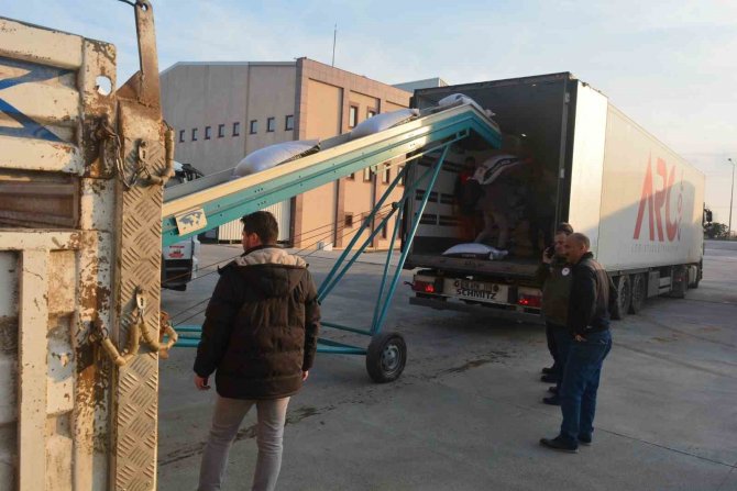 Deprem Bölgesine 4 Tır Yem