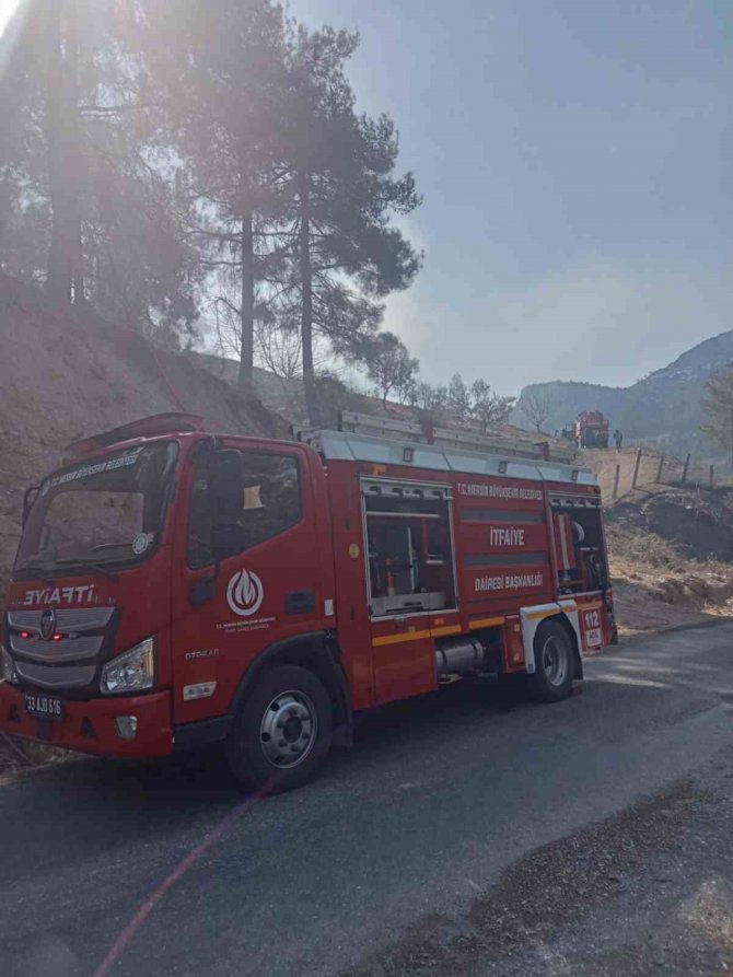 Mersin’de Orman Yangını, Kontrol Altına Alındı