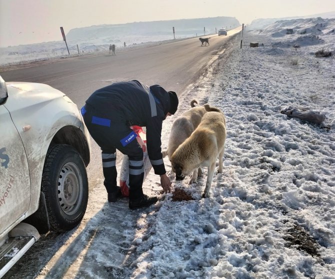 Bilgi: "Hep Beraber Yaralarımızı Sarmaya Çalışıyoruz"