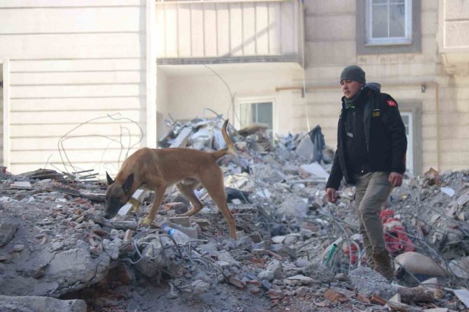 Diyarbakır’da 2 Müteahhit Yaptıkları Binanın Enkazında Hayatını Kaybetti