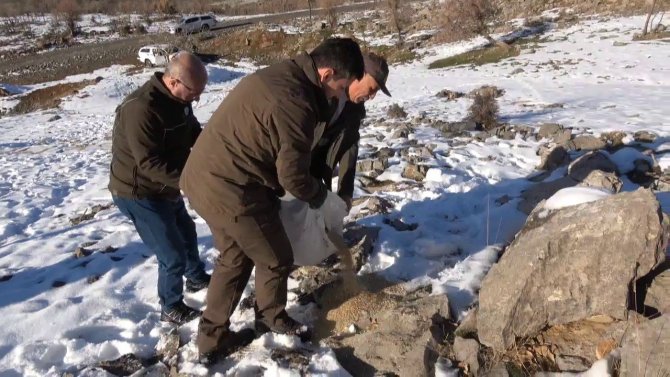 Siirt’te Depremden Etkilendiği Değerlendirilen Yaban Hayvanlarının Korunması İçin Av Yasağı Başladı