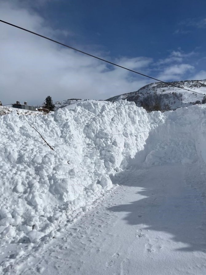 Posof’ta Kar Köy Yollarını Kapattı