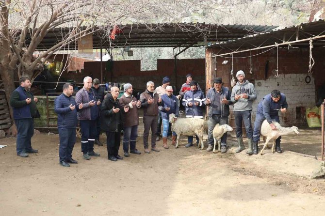 Koçarlı’da Vatandaşlar Depremzedeler İçin Koyun Bağışladılar