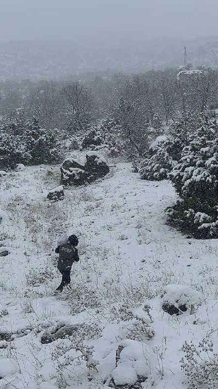 Tunceli’de Yaban Hayatı İçin Yemleme Çalışması