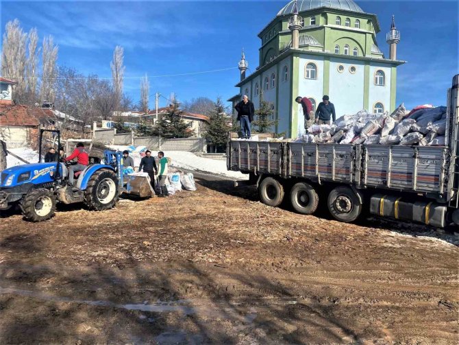 Depremzedelere Yakacak Yardımı