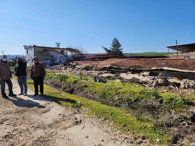 Enkaz Altında Telef Olan Hayvanlar Hastalık Riskine Karşı Gömüldü