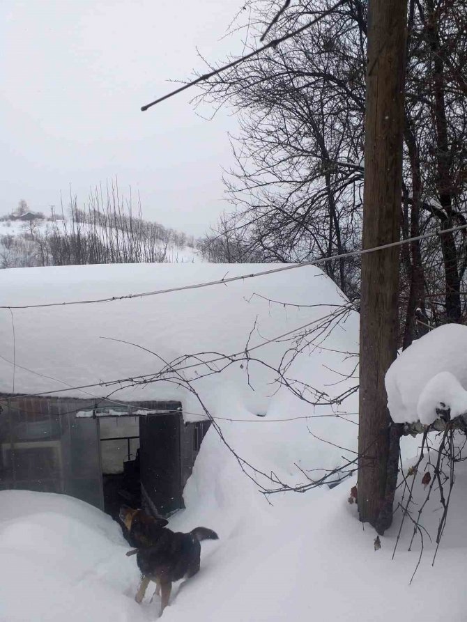 Kastamonu’da 15 Gündür Kardan Dolayı Yolu Kapalı Olan Köylüler, Ayaklarına Giydikleri Gigile İle İlaçlarını Alabiliyor