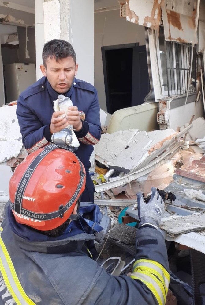 Konya Büyükşehir Belediyesinin Kahraman İtfaiyecileri Hayatlarını Riske Atıp Güvercinleri Kurtardı