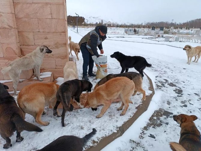 Erzincan’da ‘Haydi̇’ Polisleri Sokak Hayvanlarını Mamayla Besledi