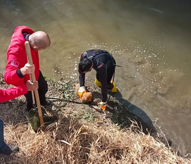 Kanala Düşen Yavru Köpek Arama Kurtarma Ekiplerince Kurtarıldı