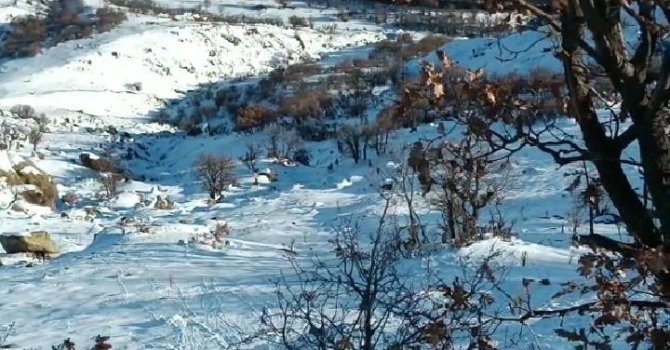 Deprem Yaban Keçilerini De Ürküttü