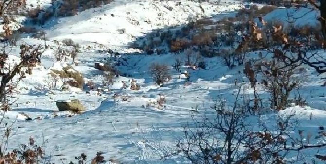 Deprem Yaban Keçilerini De Ürküttü